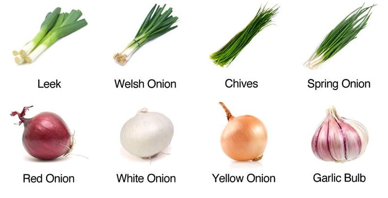 images/1655362600981onion sorter.jpg